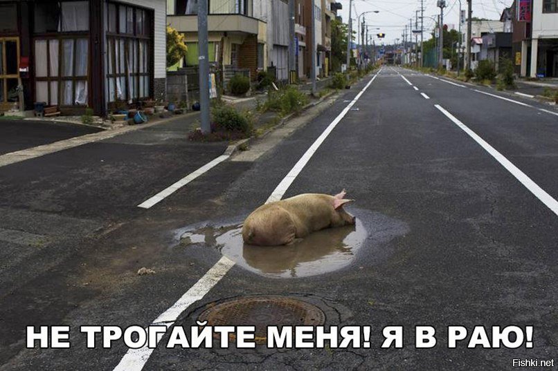 Не трогайте меня! Я в раю