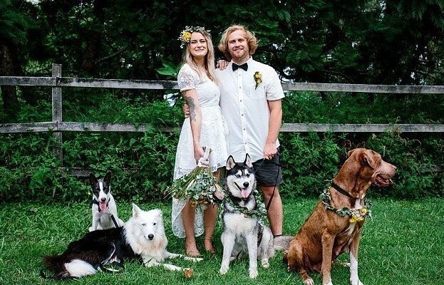Собака-оператор сняла свадьбу хозяев!