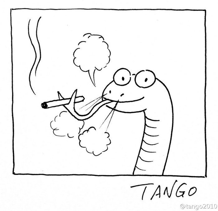 Веселые картинки  Танго