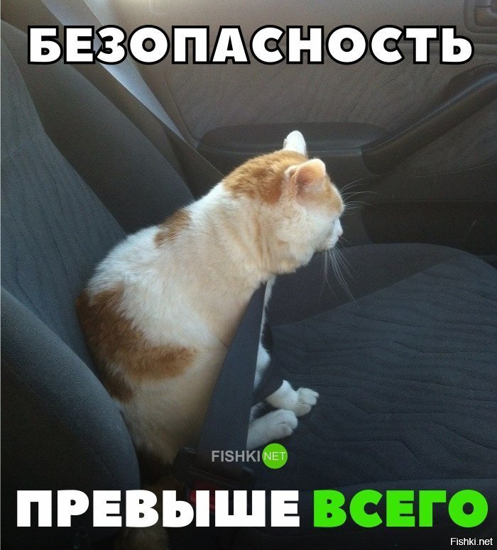 Безопасность превыше всего