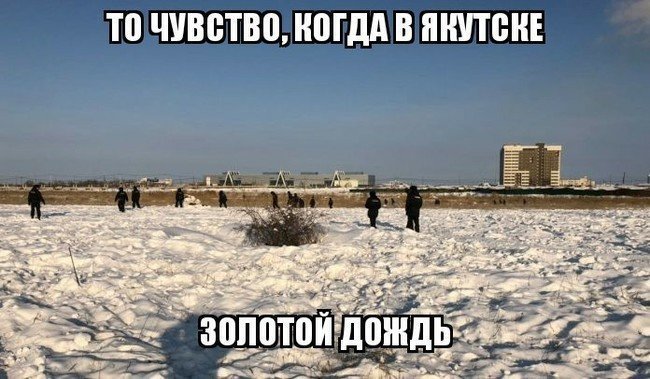 Золотой дождь по-русски: реакция соцсетей на конфуз в Якутии