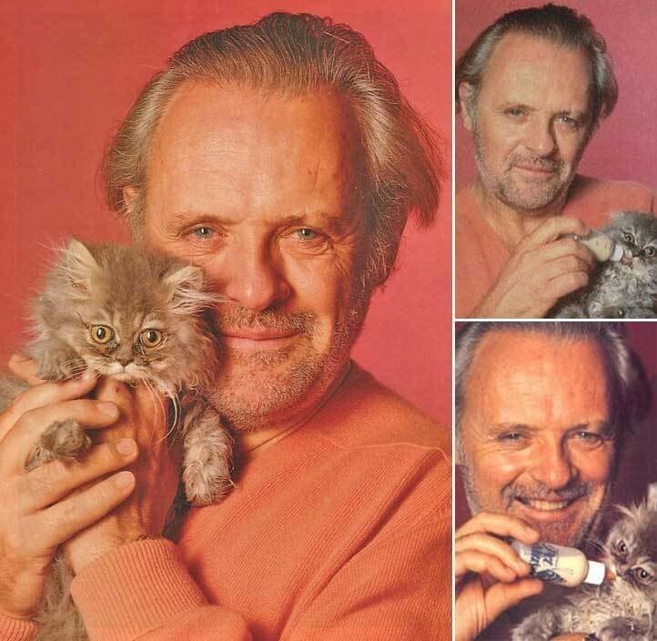 Энтони Хопкинс и его котик.