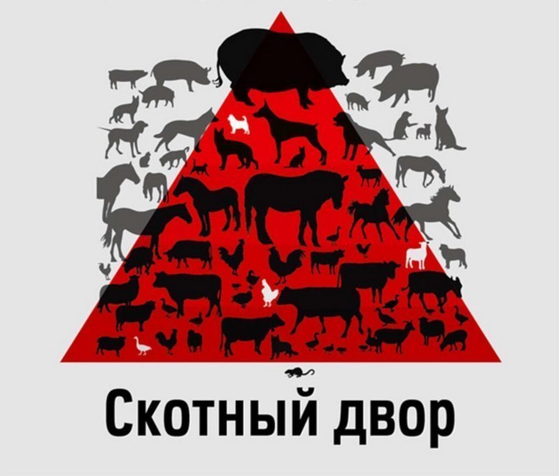 Скотный двор у стен российского посольства. Юлия Витязева