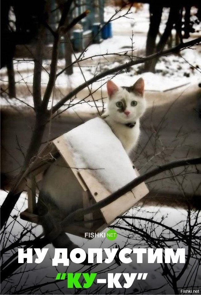 Допустим ку-ку