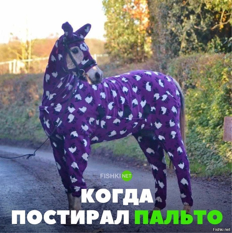 Когда постирал пальто
