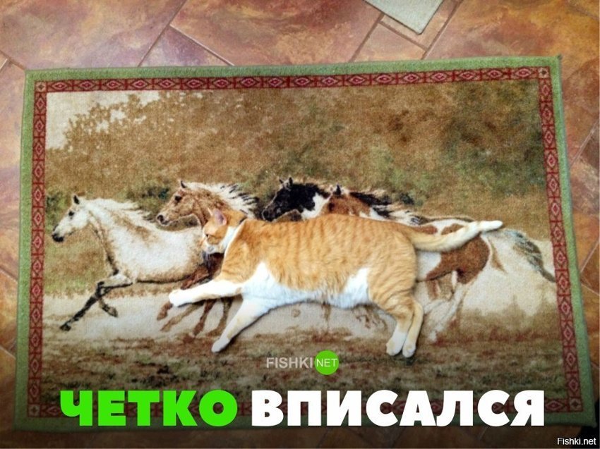 Чётко вписался