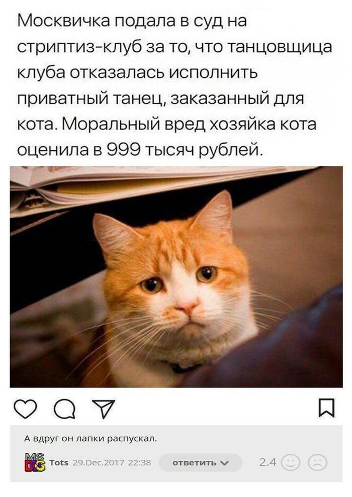 Котика жалко