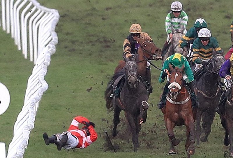 Трагедия в Челтенхэме: лошадь, сломавшую ногу на скачках, пришлось усыпить