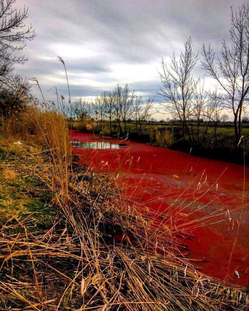 «И польются красные реки после выборов»