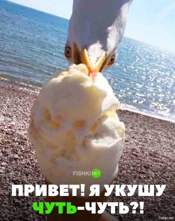 Привет! Можно я кушу?