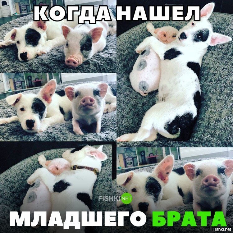 Когда нашёл младшего брата