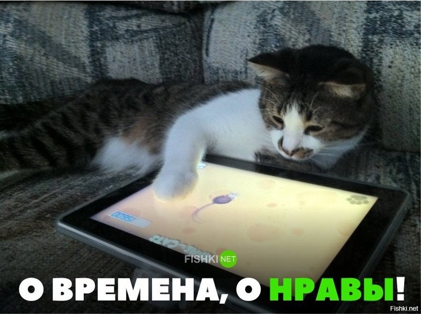 О времена, о нравы