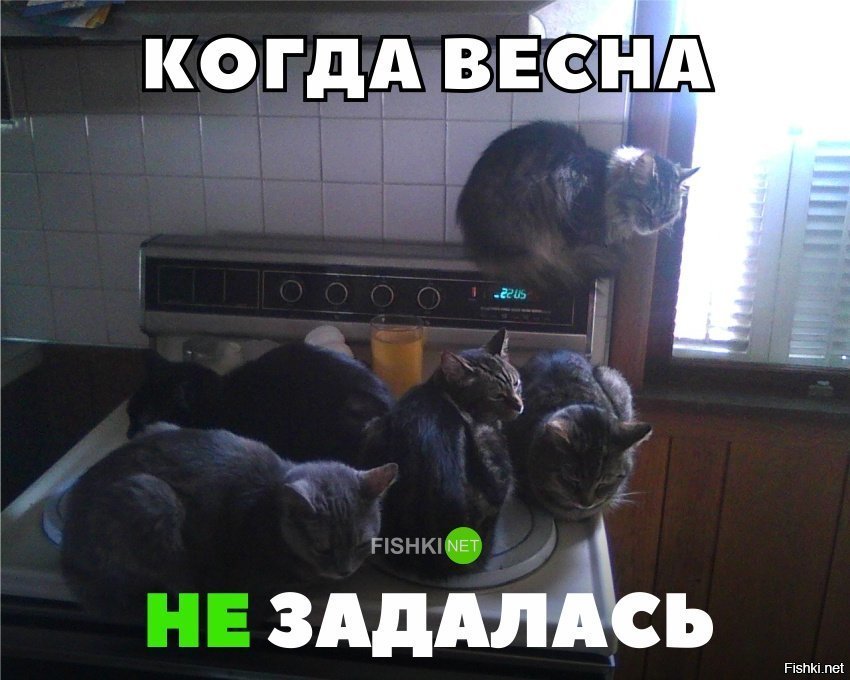 Когда весна не задалась