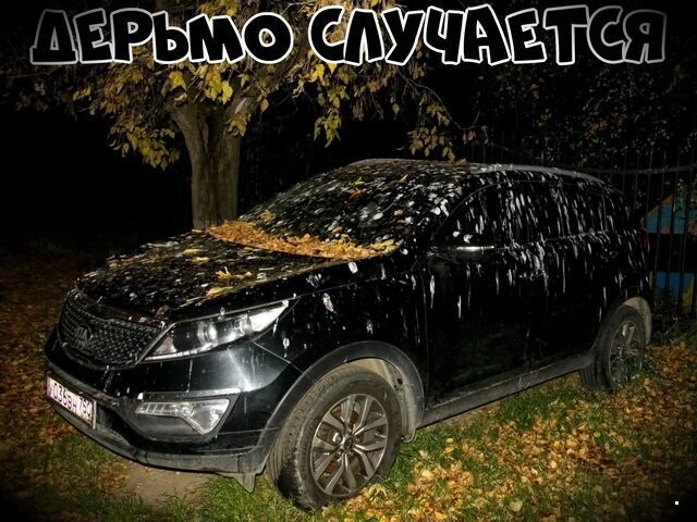 Автовсячина