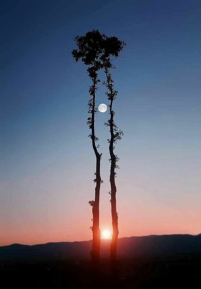 Солнце и Луна