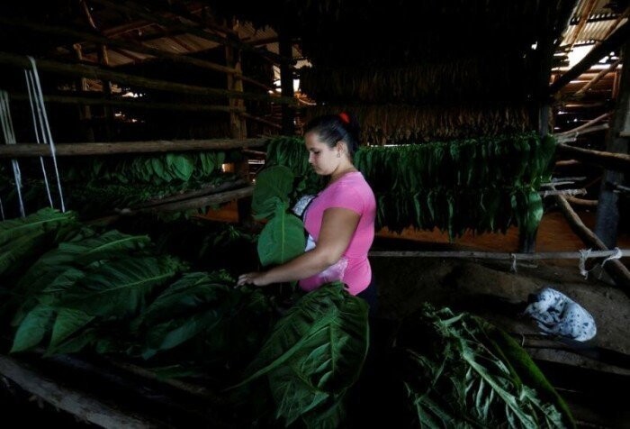 Экскурсия по фабрике по производству кубинских сигар