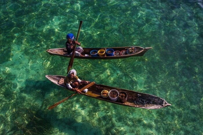 Удивительные снимки «морских цыган» баджо