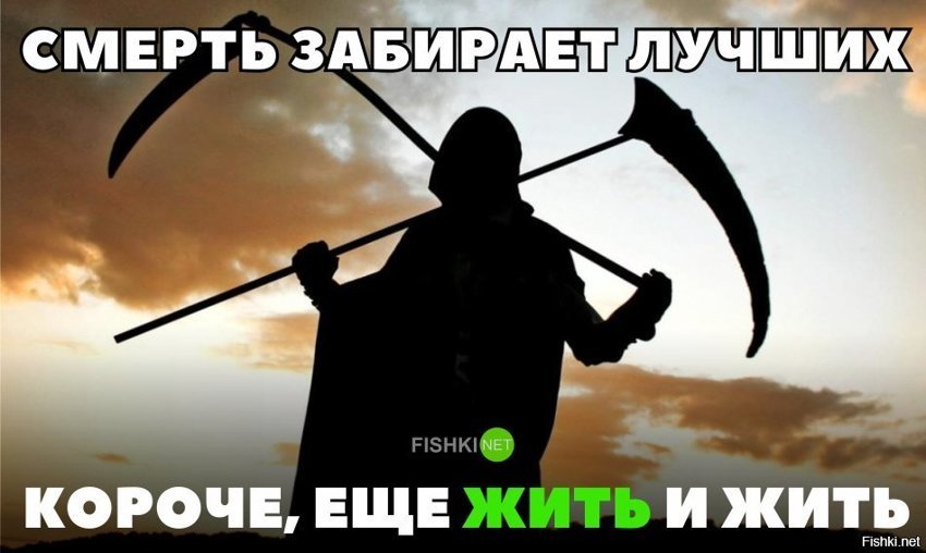 Ещё жить и жить