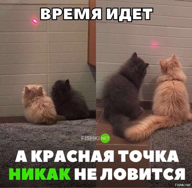 Время идёт, а красная точка не ловится