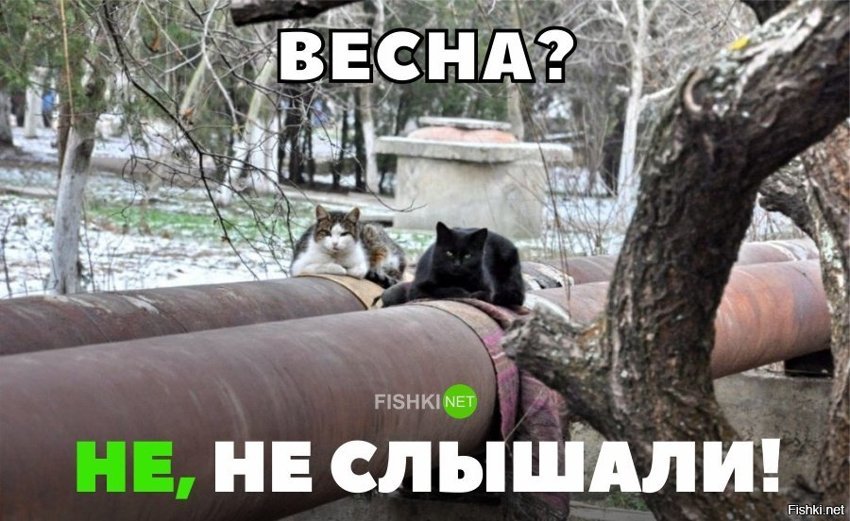 Весна? Не, не слышал