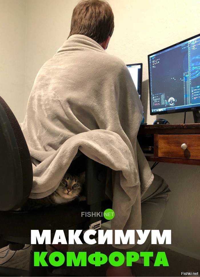 Максимум комфорта