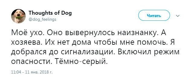 Смешные комментарии из социальных сетей от Роман за 22 марта 2018 09:52