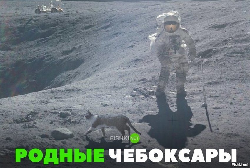 Долбаные Чебоксары