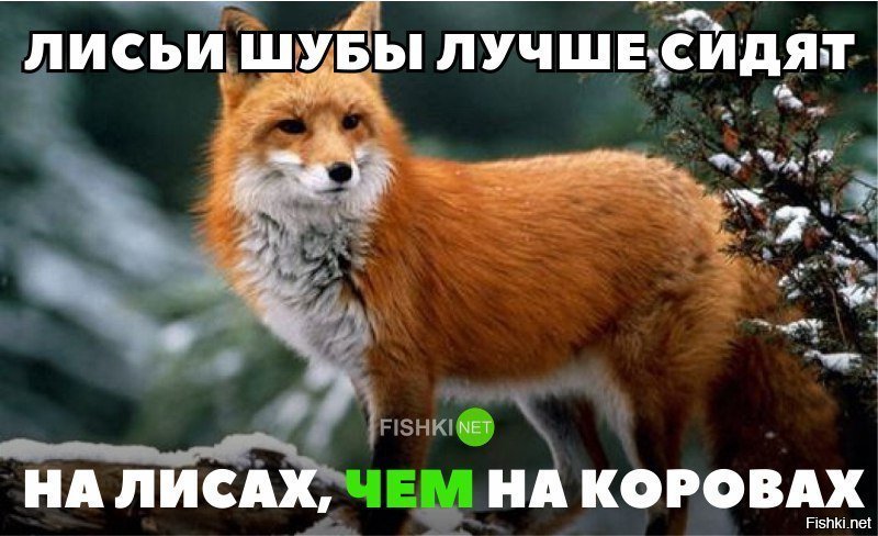 Согласны?