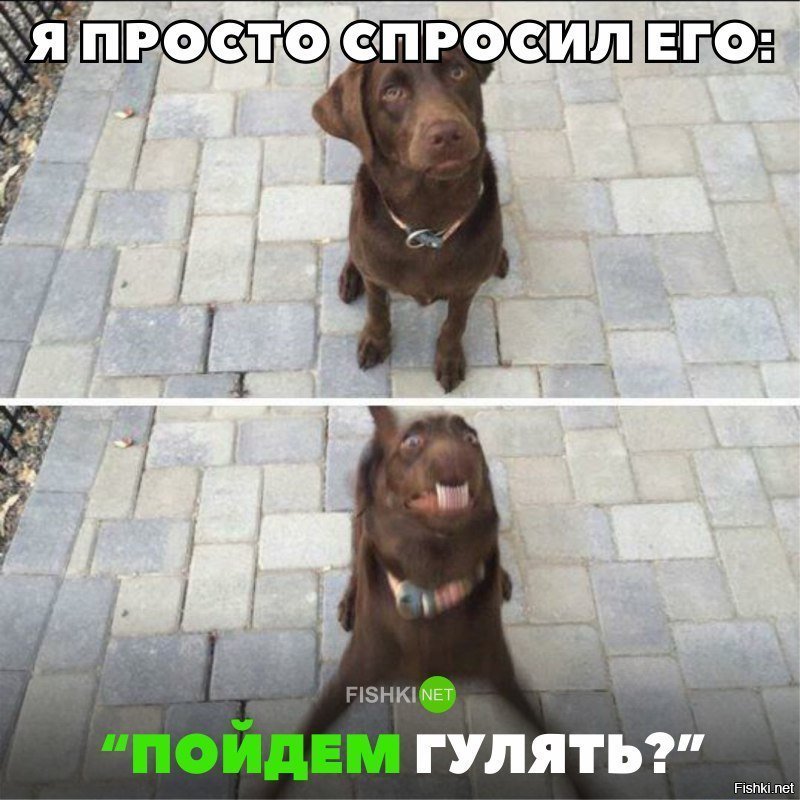 Было такое?