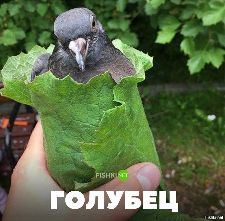 Голубец