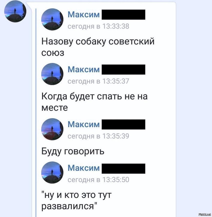 Идеальная кличка для собаки
