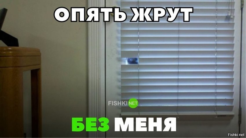 Опять жрут без меня