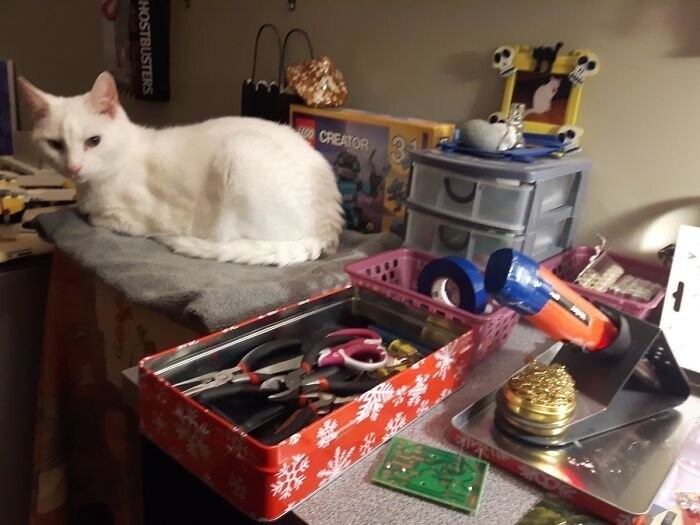 "Кот обожает смотреть за тем, как я работаю. Теперь у него есть даже спальное место в моем кабинете"
