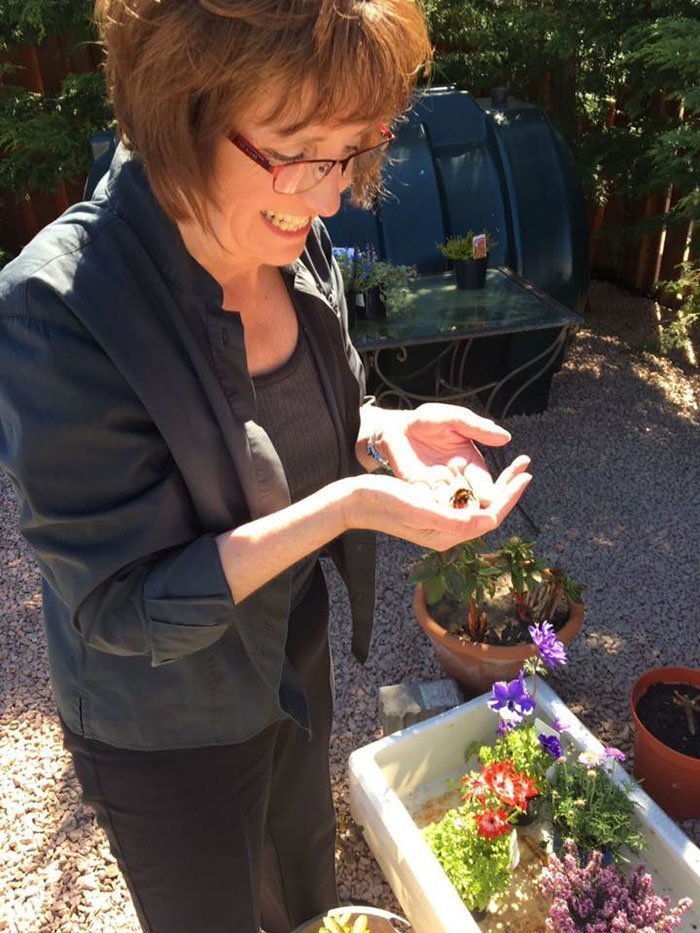 Фиона Пресли из Шотландии обнаружила насекомое случайно, когда работала в своём саду.