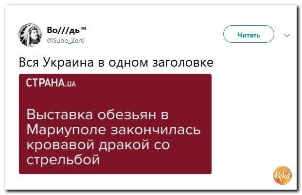 Политические коментарии соцсетей - 434
