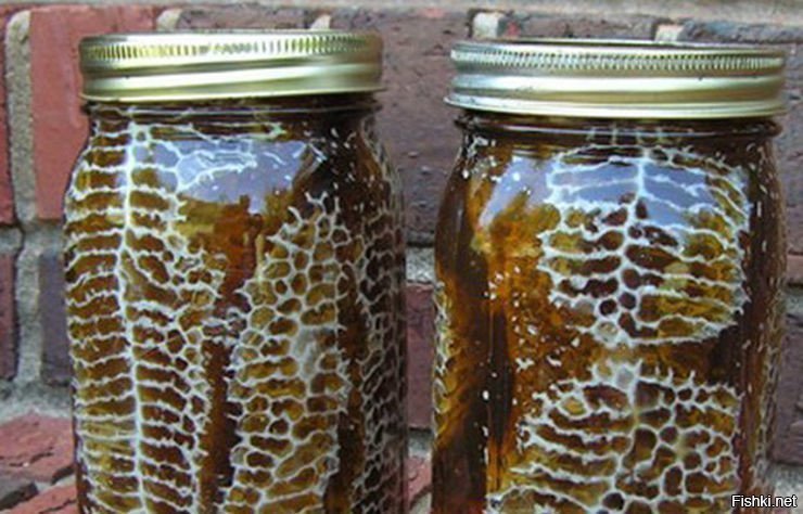 Пчелы  откладывают мёд  в банки