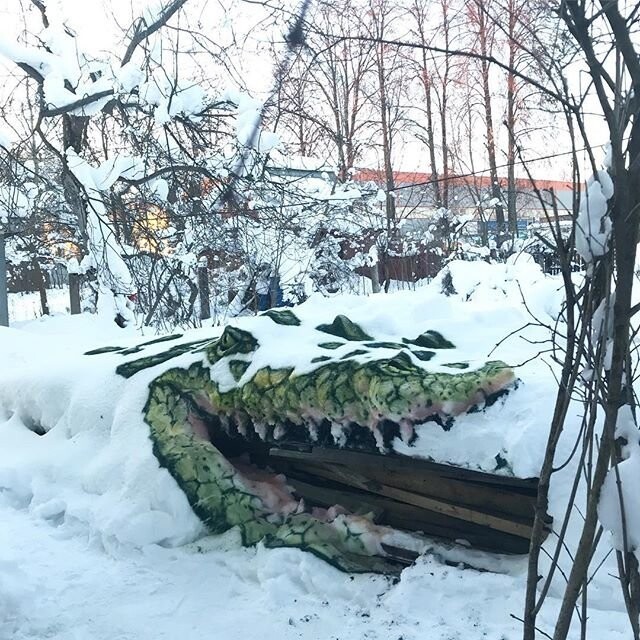 Снежный крокодил