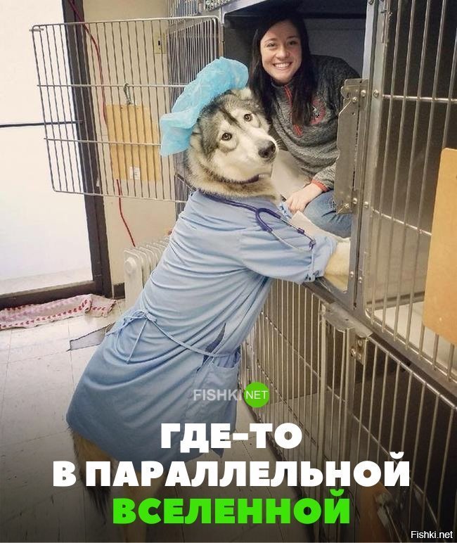 Где-то в параллельной вселенной