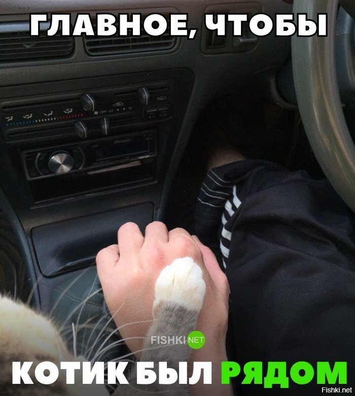 Главное, чтобы котик был рядом