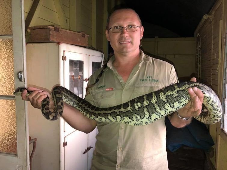 Через пару дней змея с тапком внутри была обнаружена службой по отлову змей N & S Snake Catcher