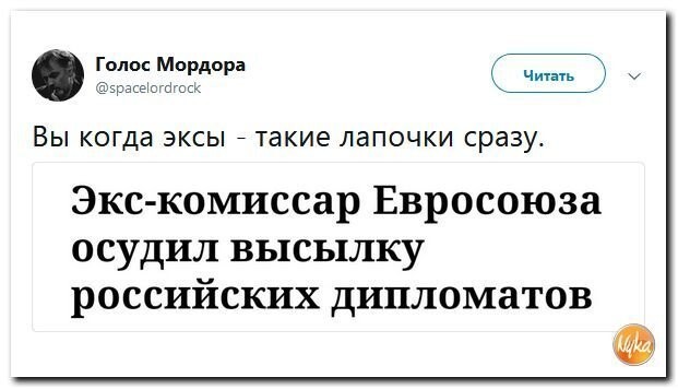 Политические коментарии соцсетей - 437