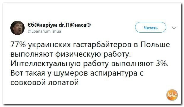 Политические коментарии соцсетей - 437