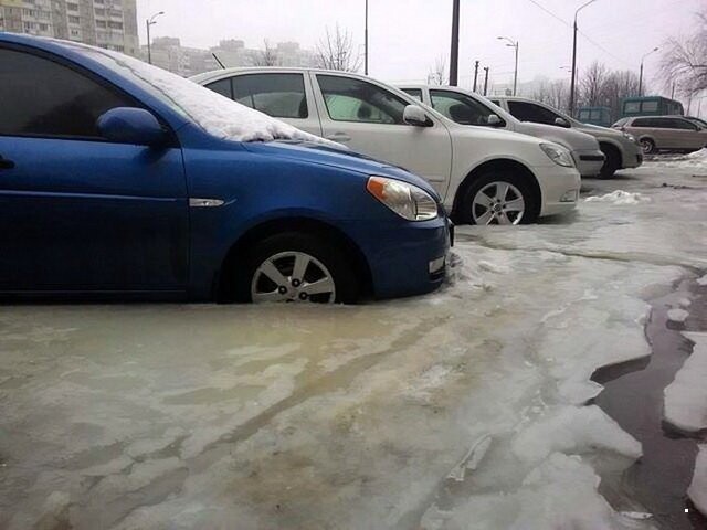 Автовсячина