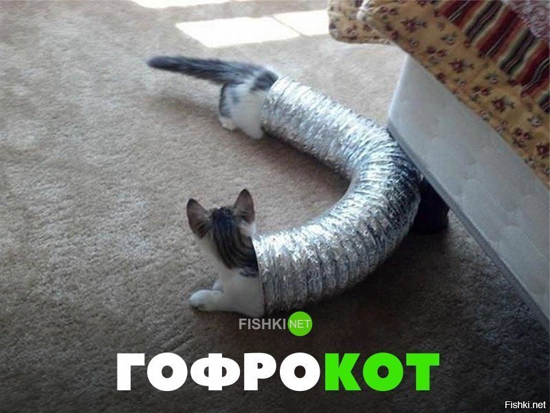 Гофро кот