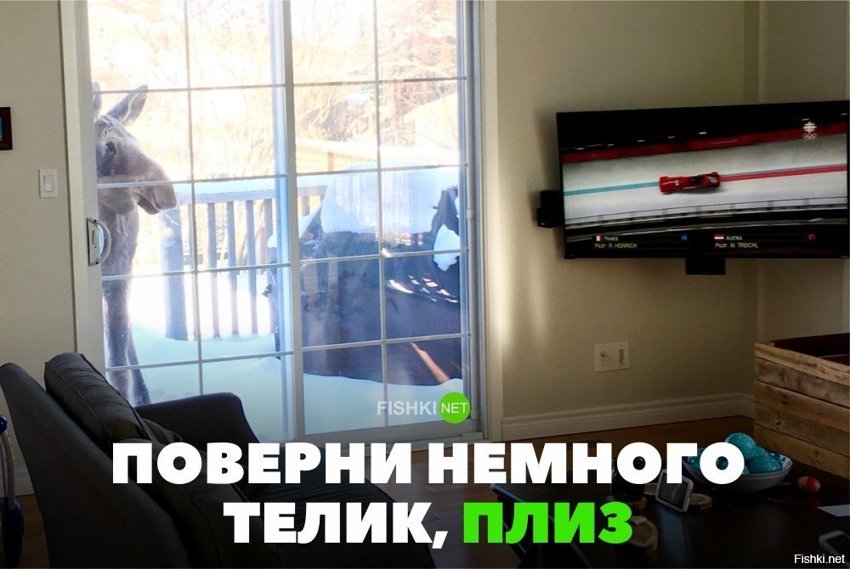 Поверни телек плиз