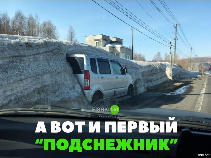 Первый подснежник