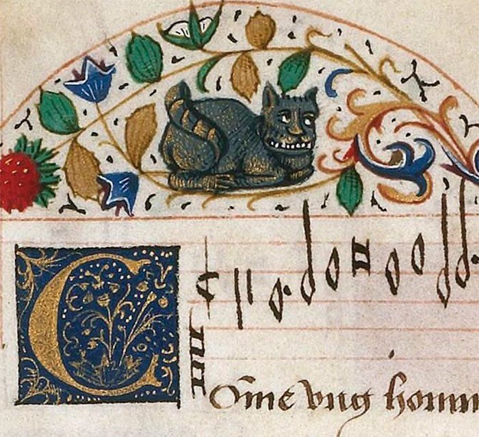 Чеширский кот из Средневековья 