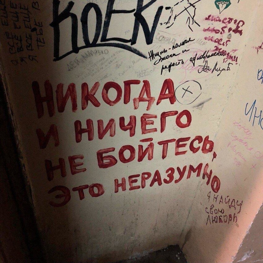 Никогда и ничего не бойтесь