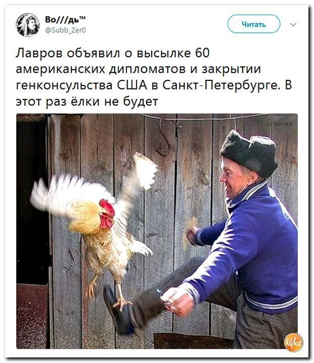 Политические коментарии соцсетей - 439