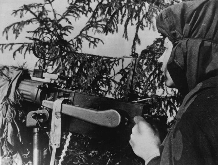 Стреляющее дупло или как "дуб" сдерживал наступление немецкого пехотного полка